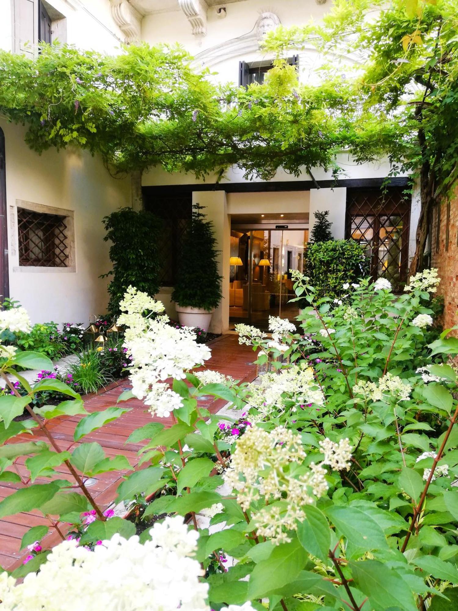 Suite Garden View